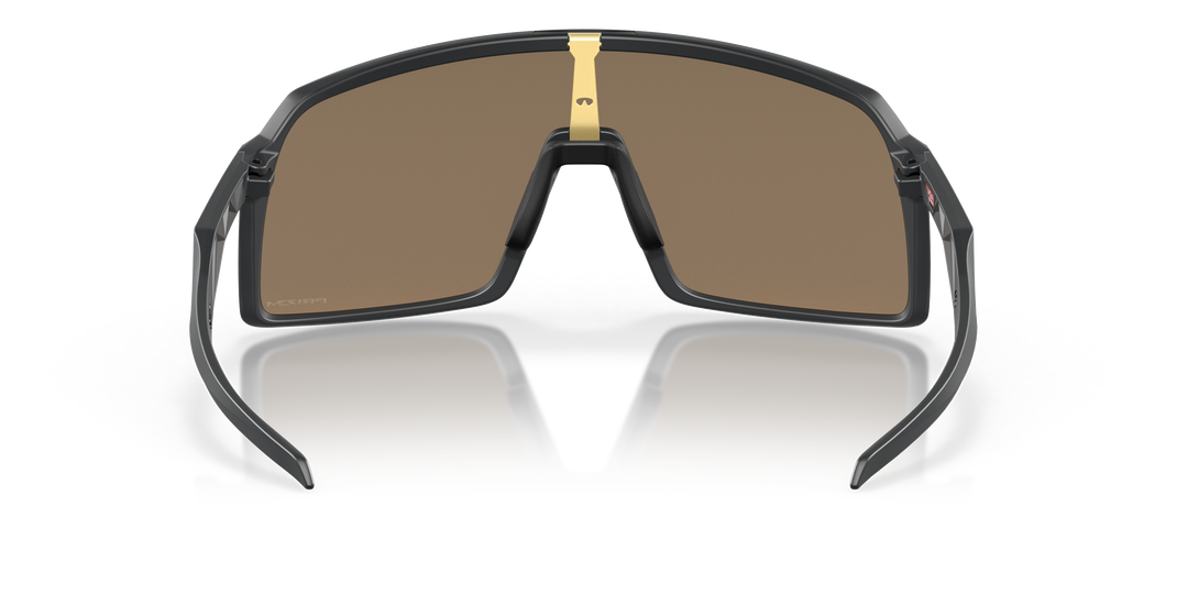 reval-myl-photo:OO9406_940605:0oo9406_940605_p21_shad_bk #color_carbono-mate-prizm-24k