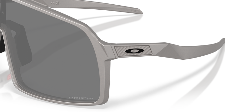 reval-myl-photo:OO9406_9406D1:0oo9406_9406d1_p21_shad_al3 #color_titanio-prizm-negro