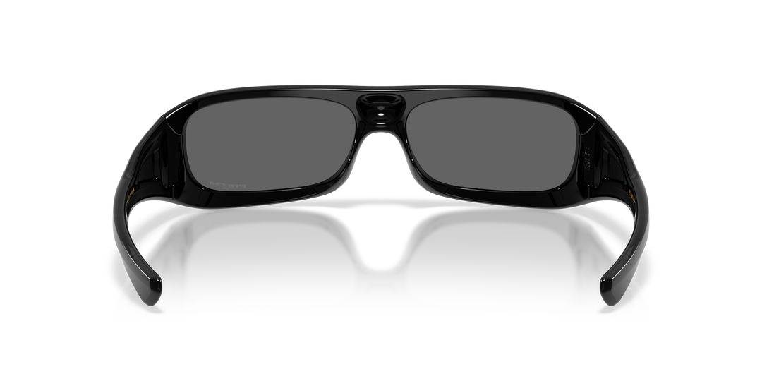 reval-myl-photo:OO9520_952001:0oo9520_952001_p21_shad_bk #color_prizm-negro