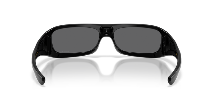 reval-myl-photo:OO9520_952001:0oo9520_952001_p21_shad_bk #color_prizm-negro