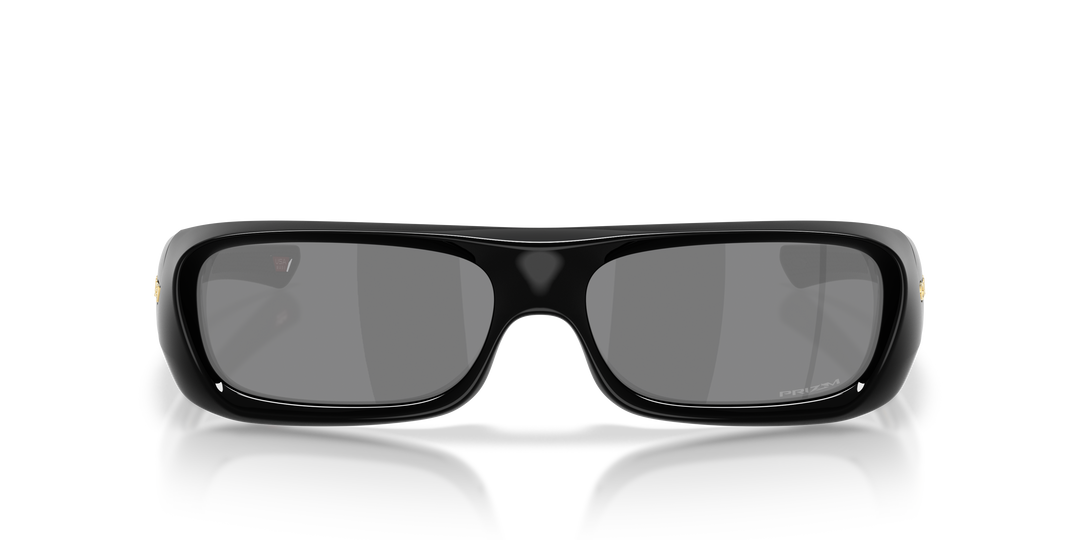 reval-myl-photo:OO9520_952001:0oo9520_952001_p21_shad_fr #color_prizm-negro