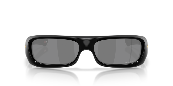 reval-myl-photo:OO9520_952001:0oo9520_952001_p21_shad_fr #color_prizm-negro