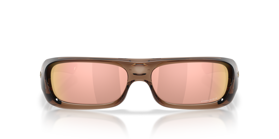reval-myl-photo:OO9520_952003:0oo9520_952003_p21_shad_fr #color_humo-marron-prizm-rose-dorado