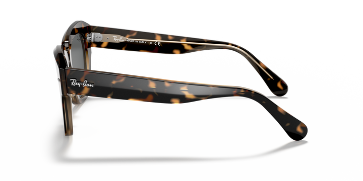 reval-myl-photo:RB2186_1292B1:0rb2186_1292b1_std_shad_lt #color_havana-sobre-marron-traslucido-gris-oscuro