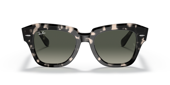reval-myl-photo:RB2186_133371:0rb2186_133371_std_shad_fr #color_havana-gris-gris-degrade