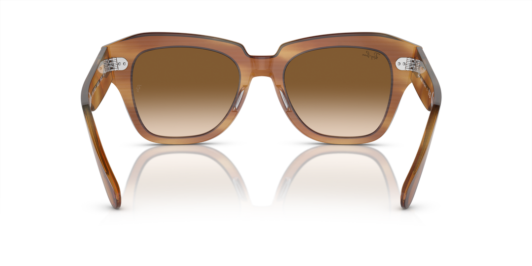 reval-myl-photo:RB2186_140351:0rb2186_140351_p21_shad_bk #color_marron-a-rayas-transparente-y-marron