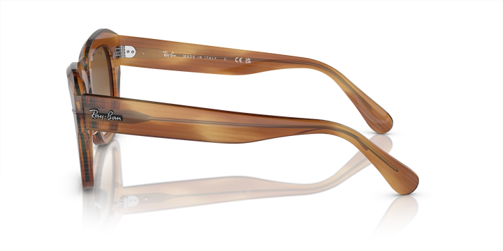 reval-myl-photo:RB2186_140351:0rb2186_140351_p21_shad_lt #color_marron-a-rayas-transparente-y-marron