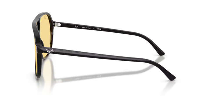 Ray Ban RB2198 Bill