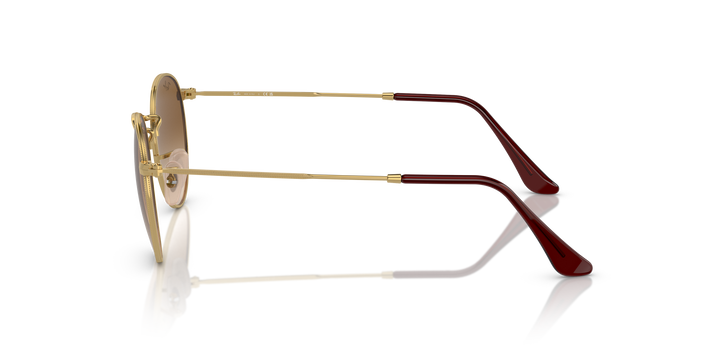 reval-myl-photo:RB3447_001_51:0rb3447_001_51_p21_shad_lt #color_marron