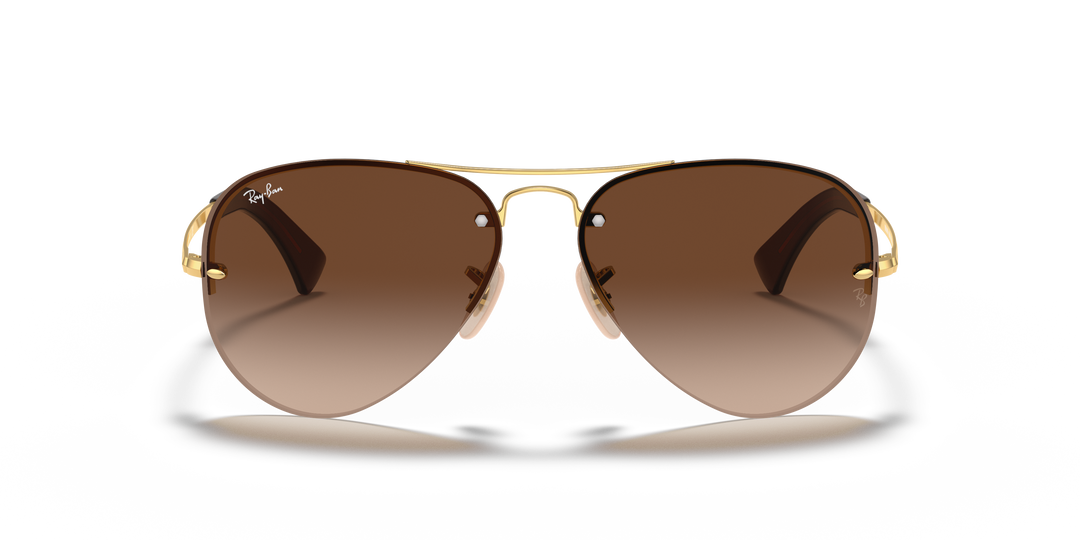 reval-myl-photo:RB3449_001_13:0rb3449_001_13_std_shad_fr #color_marron-degrade