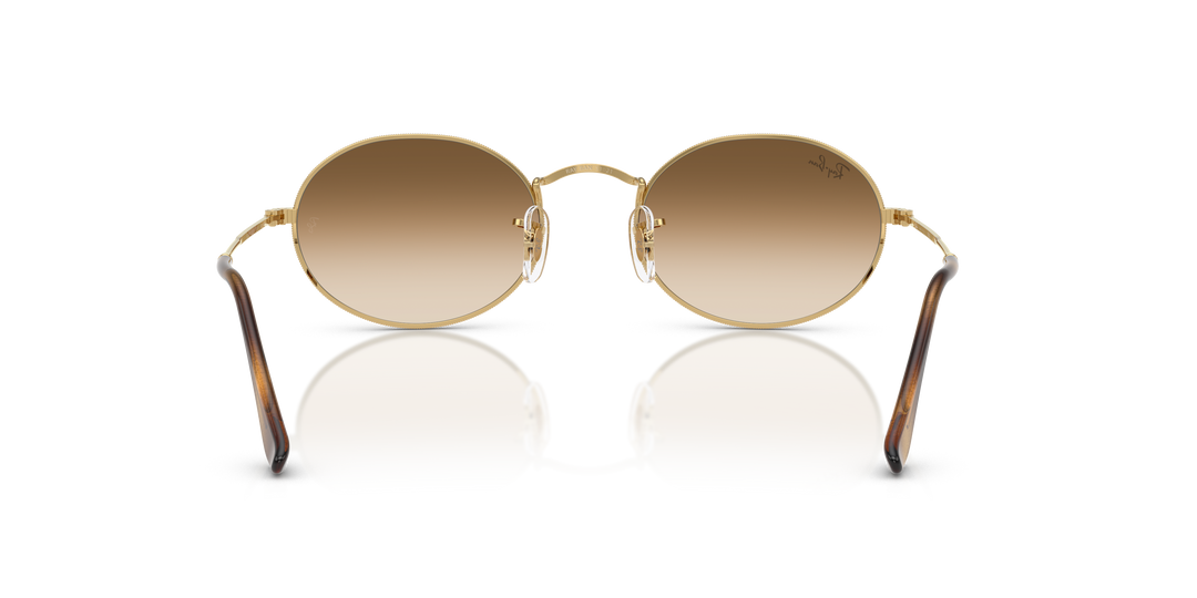 reval-myl-photo:RB3547_001_51:0rb3547_001_51_p21_shad_bk #color_oro-arista-marron-degrade-a-transparente