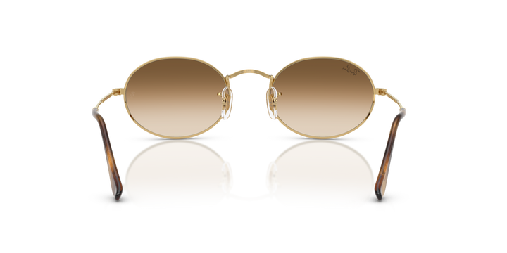 reval-myl-photo:RB3547_001_51:0rb3547_001_51_p21_shad_bk #color_oro-arista-marron-degrade-a-transparente
