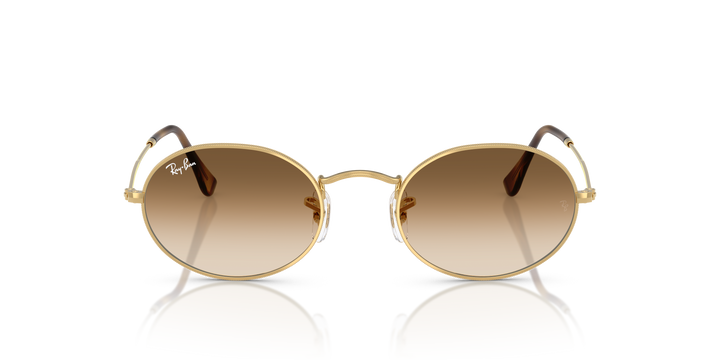 reval-myl-photo:RB3547_001_51:0rb3547_001_51_p21_shad_fr #color_oro-arista-marron-degrade-a-transparente