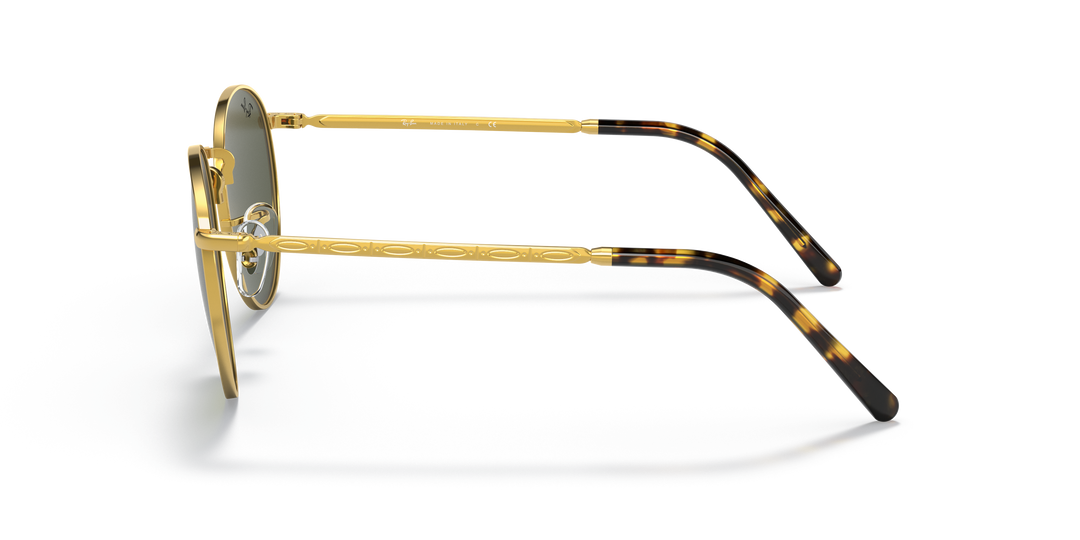 reval-myl-photo:RB3637_919631:0rb3637_919631_std_shad_lt #color_dorado-verde