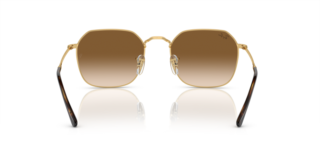 reval-myl-photo:RB3694_001_51:0rb3694_001_51_p21_shad_bk #color_oro-arista-marron-claro