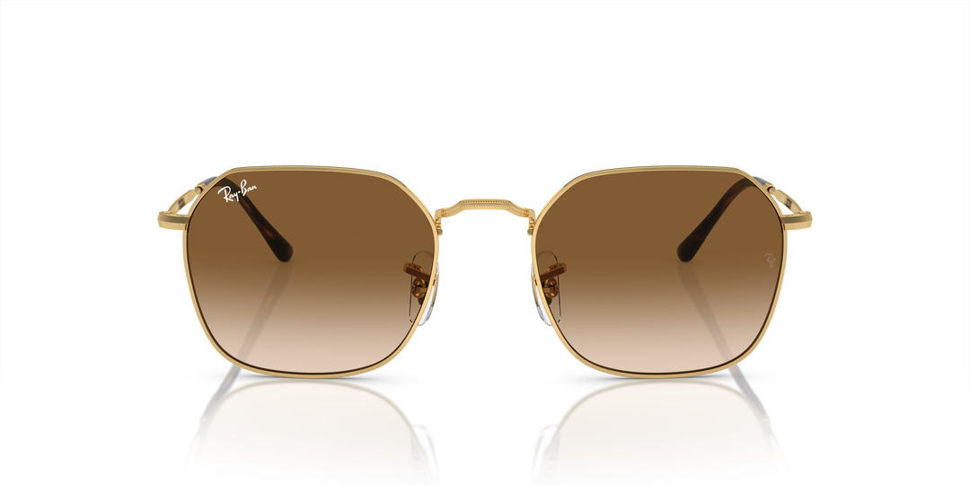 reval-myl-photo:RB3694_001_51:0rb3694_001_51_p21_shad_fr #color_oro-arista-marron-claro