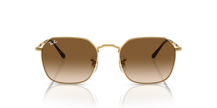 reval-myl-photo:RB3694_001_51:0rb3694_001_51_p21_shad_fr #color_oro-arista-marron-claro