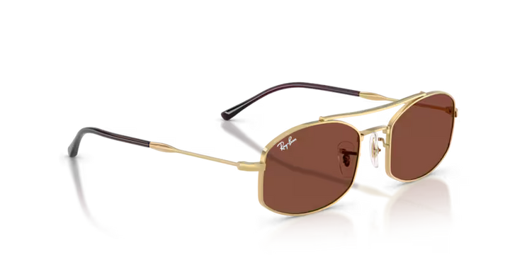 Ray Ban RB3719
