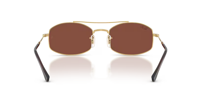 Ray Ban RB3719