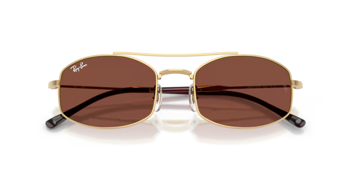 Ray Ban RB3719