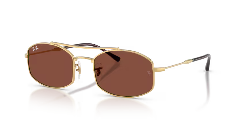 Ray Ban RB3719