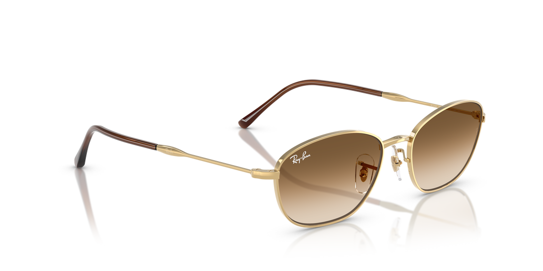 reval-myl-photo:RB3749_001_51:0rb3749_001_51_p21_shad_al2 #color_oro-arista-marron-degrade-a-transparente
