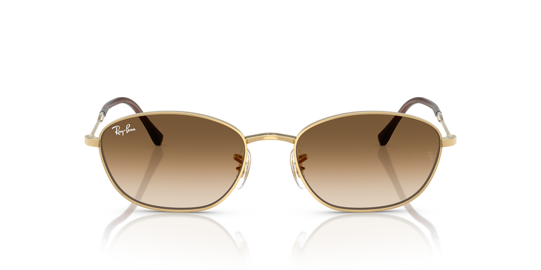 reval-myl-photo:RB3749_001_51:0rb3749_001_51_p21_shad_fr #color_oro-arista-marron-degrade-a-transparente
