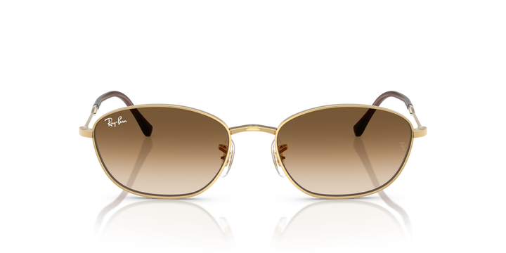 reval-myl-photo:RB3749_001_51:0rb3749_001_51_p21_shad_fr #color_oro-arista-marron-degrade-a-transparente