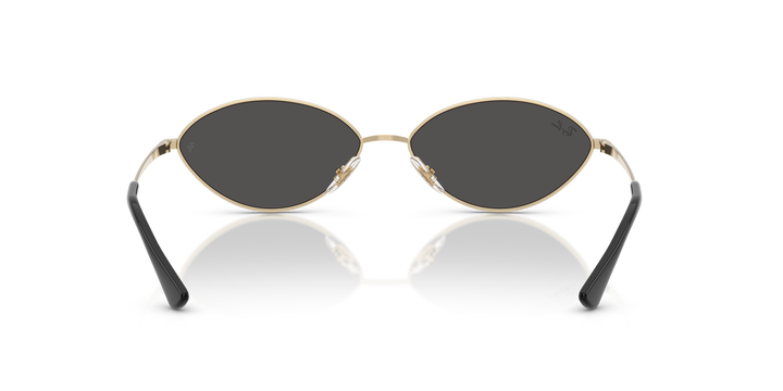 reval-myl-photo:RB3757_921387:0rb3757_921387_p21_shad_bk #color_dorado-palido-gris-oscuro