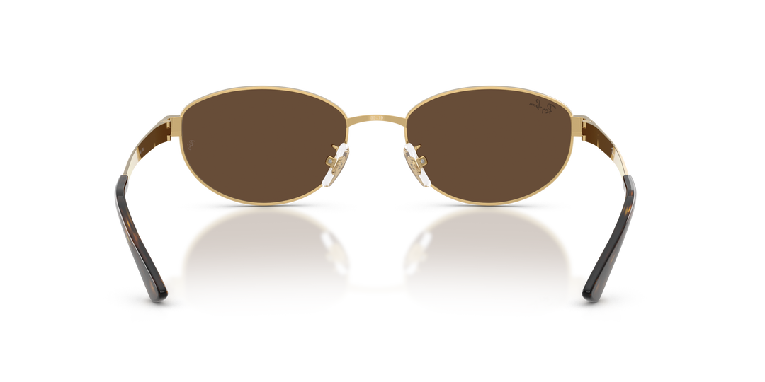 reval-myl-photo:RB3774D_001_73:0rb3774d_001_73_p21_shad_bk #color_marron-oscuro-55m