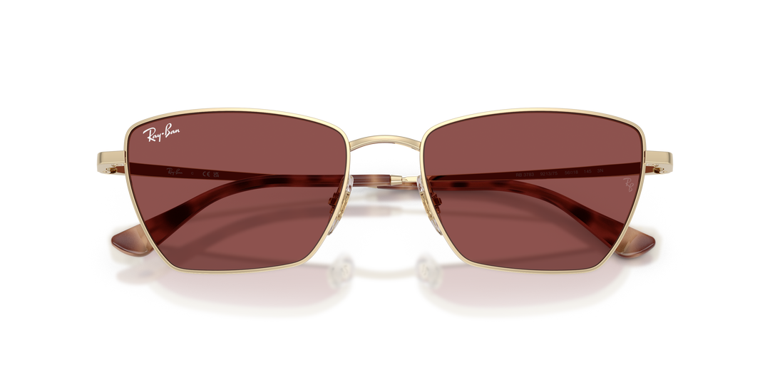 reval-myl-photo:RB3783_921375:0rb3783_921375_p21_shad_cfr #color_violeta-oscuro