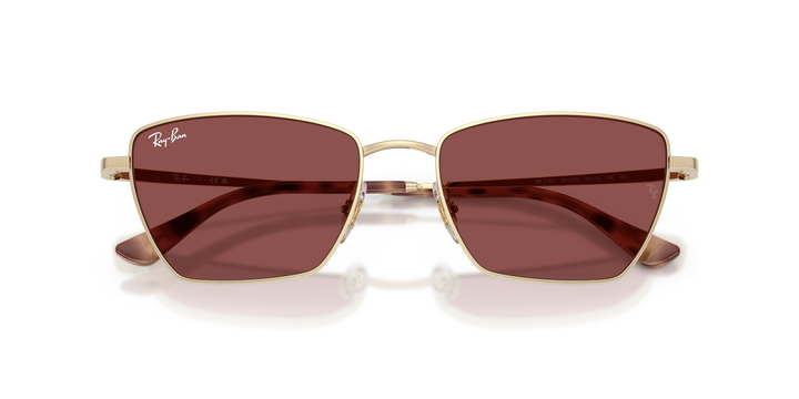 reval-myl-photo:RB3783_921375:0rb3783_921375_p21_shad_cfr #color_violeta-oscuro
