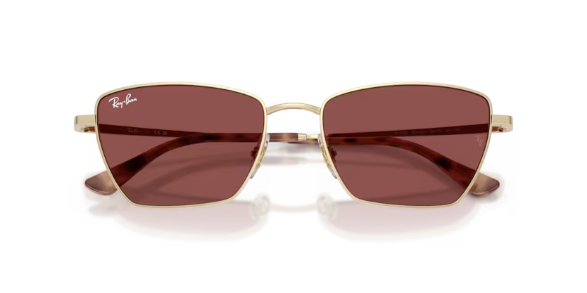 RAY BAN RB3783