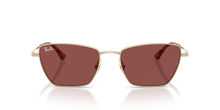 reval-myl-photo:RB3783_921375:0rb3783_921375_p21_shad_fr #color_violeta-oscuro