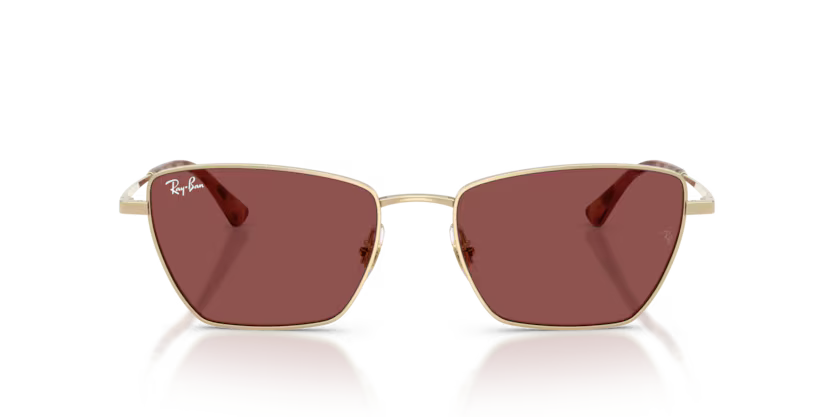 RAY BAN RB3783