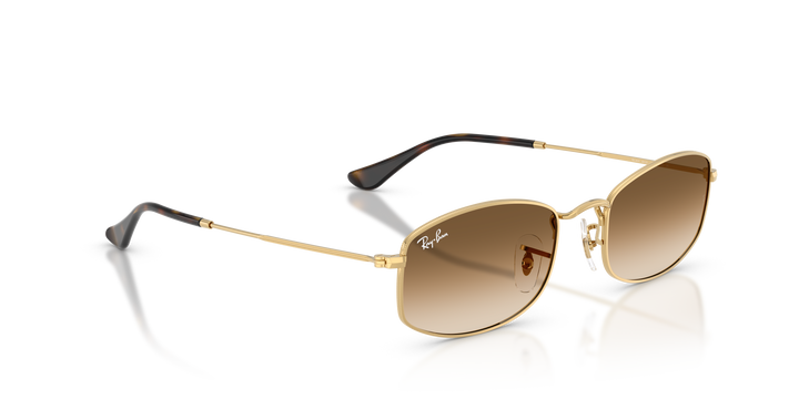 reval-myl-photo:RB3832_001_51:0rb3832_001_51_p21_shad_al2 #color_oro-arista-marron-degrade-a-transparente