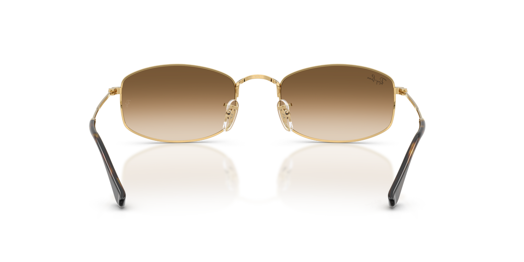 reval-myl-photo:RB3832_001_51:0rb3832_001_51_p21_shad_bk #color_oro-arista-marron-degrade-a-transparente