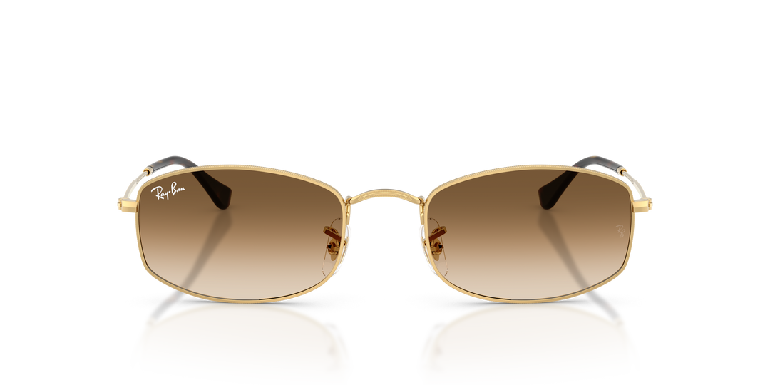 reval-myl-photo:RB3832_001_51:0rb3832_001_51_p21_shad_fr #color_oro-arista-marron-degrade-a-transparente