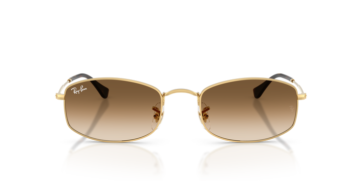 reval-myl-photo:RB3832_001_51:0rb3832_001_51_p21_shad_fr #color_oro-arista-marron-degrade-a-transparente