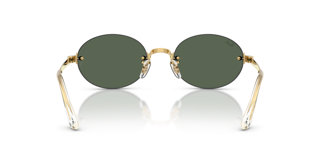 reval-myl-photo:RB3929_001_71:0rb3929_001_71_p21_shad_bk #color_verde-oscuro