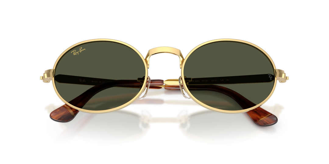 reval-myl-photo:RB3931_001_31:0rb3931_001_31_p21_shad_cfr #color_verde