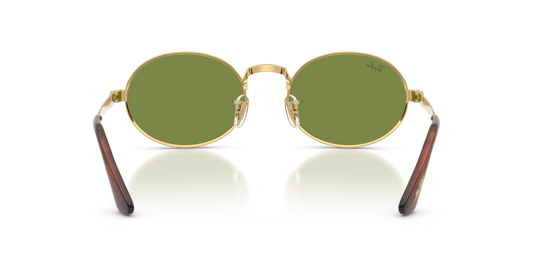reval-myl-photo:RB3931_001_4E:0rb3931_001_4e_p21_shad_bk #color_oro-arista-verde