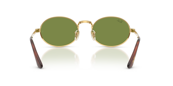 reval-myl-photo:RB3931_001_4E:0rb3931_001_4e_p21_shad_bk #color_oro-arista-verde