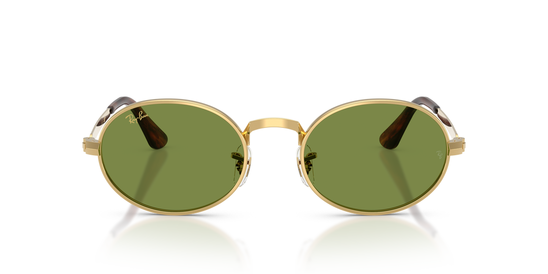 reval-myl-photo:RB3931_001_4E:0rb3931_001_4e_p21_shad_fr #color_oro-arista-verde