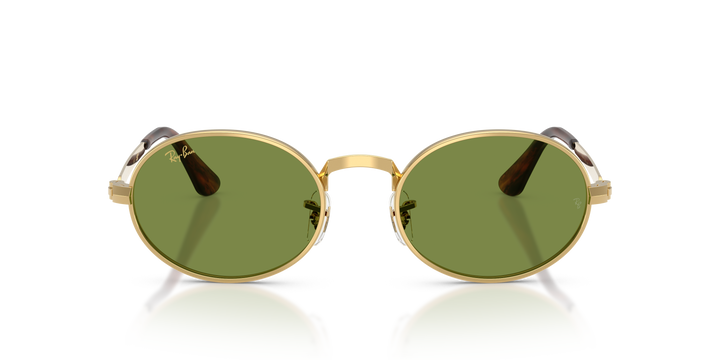 reval-myl-photo:RB3931_001_4E:0rb3931_001_4e_p21_shad_fr #color_oro-arista-verde