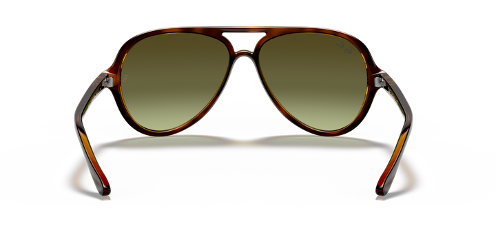 reval-myl-photo:RB4125_710_A6:0rb4125_710_a6_std_shad_bk #color_havana-claro-verde-degrade