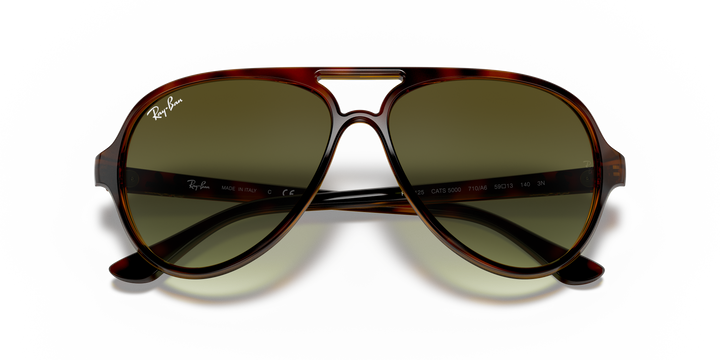 reval-myl-photo:RB4125_710_A6:0rb4125_710_a6_std_shad_cfr #color_havana-claro-verde-degrade