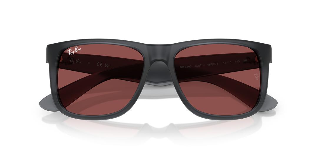 reval-myl-photo:RB4165_687375:0rb4165_687375_p21_shad_cfr #color_gris-a-palo-violeta-oscuro