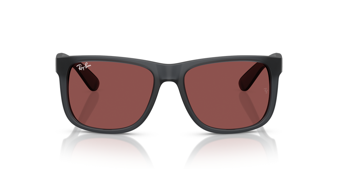 reval-myl-photo:RB4165_687375:0rb4165_687375_p21_shad_fr #color_gris-a-palo-violeta-oscuro