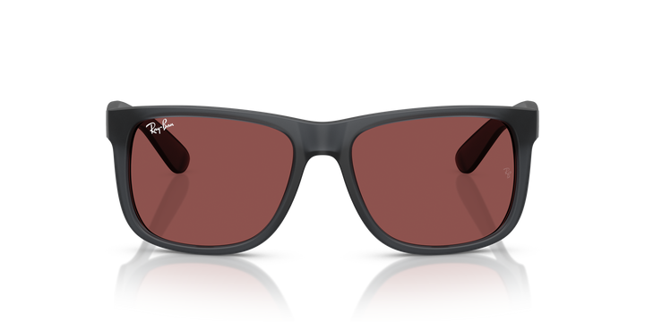 reval-myl-photo:RB4165_687375:0rb4165_687375_p21_shad_fr #color_gris-a-palo-violeta-oscuro